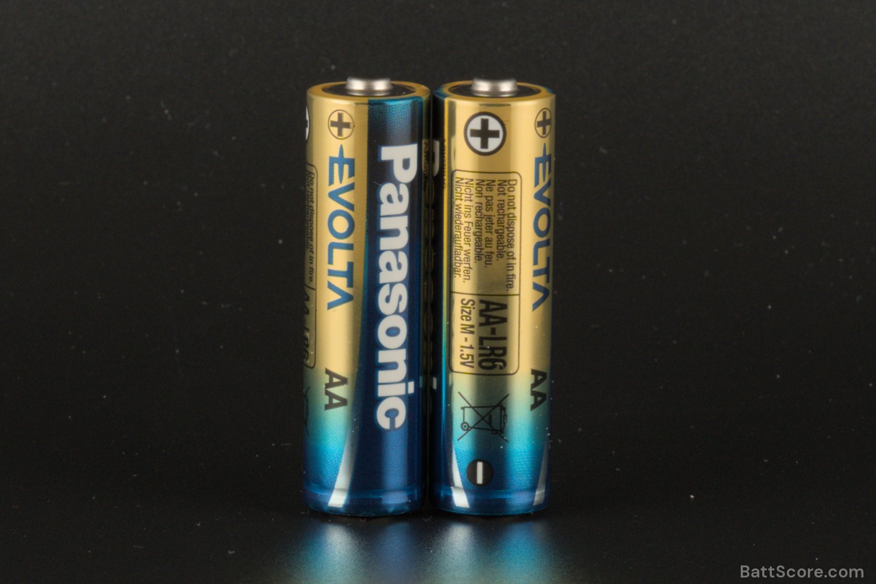 Evolta (Panasonic) AA Alkaline